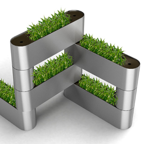 planta